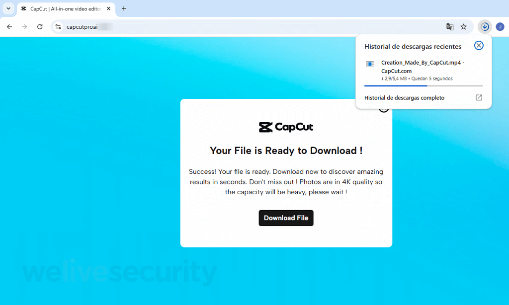 Figure 2. Fake CapCut site