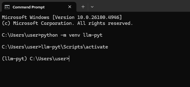 llm-pyt prompt